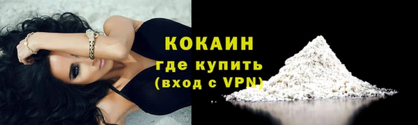 прущие грибы Зеленодольск