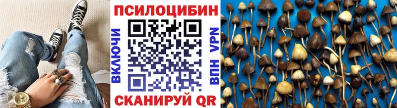 Купить где  Хотьково  Галлюциногенные грибы мицелий 